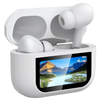 Aurras 3 Vision True Wireless Earphone1